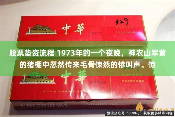 股票垫资流程 1973年的一个夜晚，神农山军营的猪棚中忽然传来毛骨悚然的惨叫声。惊