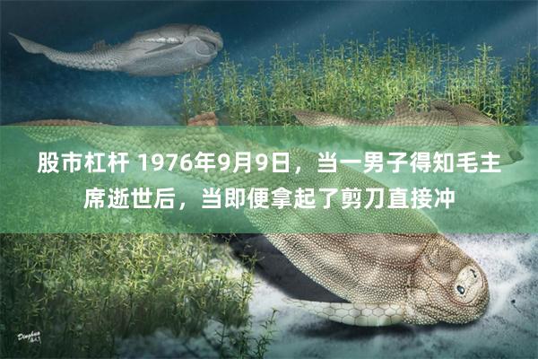 股市杠杆 1976年9月9日，当一男子得知毛主席逝世后，当即便拿起了剪刀直接冲