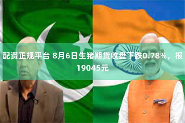 配资正规平台 8月6日生猪期货收盘下跌0.78%，报19045元