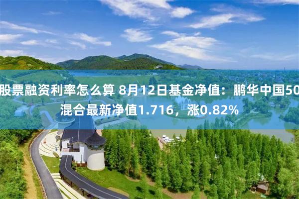 股票融资利率怎么算 8月12日基金净值：鹏华中国50混合最新净值1.716，涨0.82%