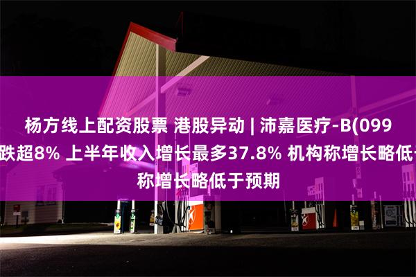 杨方线上配资股票 港股异动 | 沛嘉医疗-B(09996)现跌超8% 上半年收入增长最多37.8% 机构称增长略低于预期