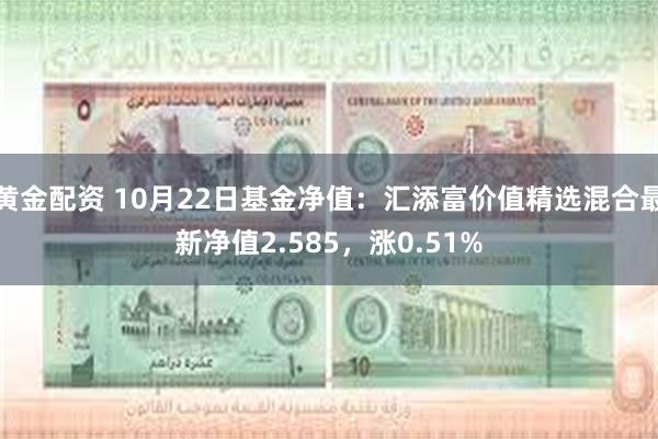 黄金配资 10月22日基金净值：汇添富价值精选混合最新净值2.585，涨0.51%