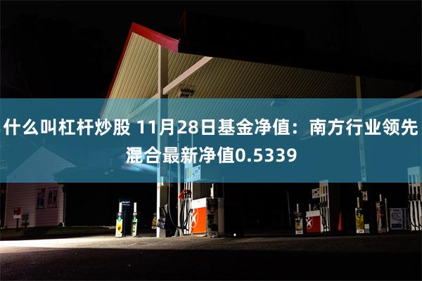 什么叫杠杆炒股 11月28日基金净值：南方行业领先混合最新净值0.5339