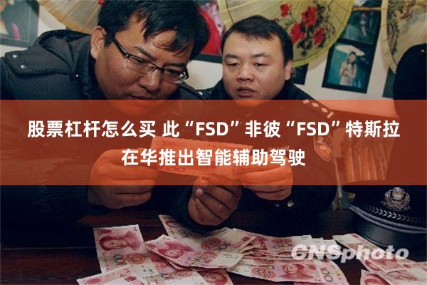 股票杠杆怎么买 此“FSD”非彼“FSD”特斯拉在华推出智能辅助驾驶